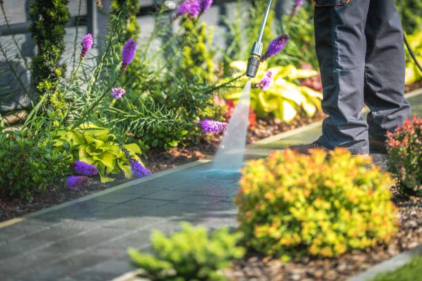 Best Driveway Pressure Washing  in Kinnelon, NJ
