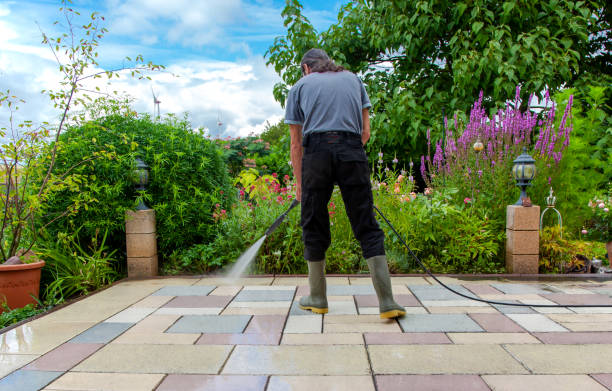 Best Roof Washing  in Kinnelon, NJ